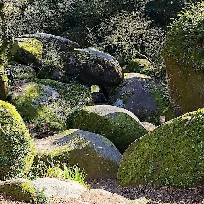 Grande Maison Au Coeur De La Bretagne Huelgoat